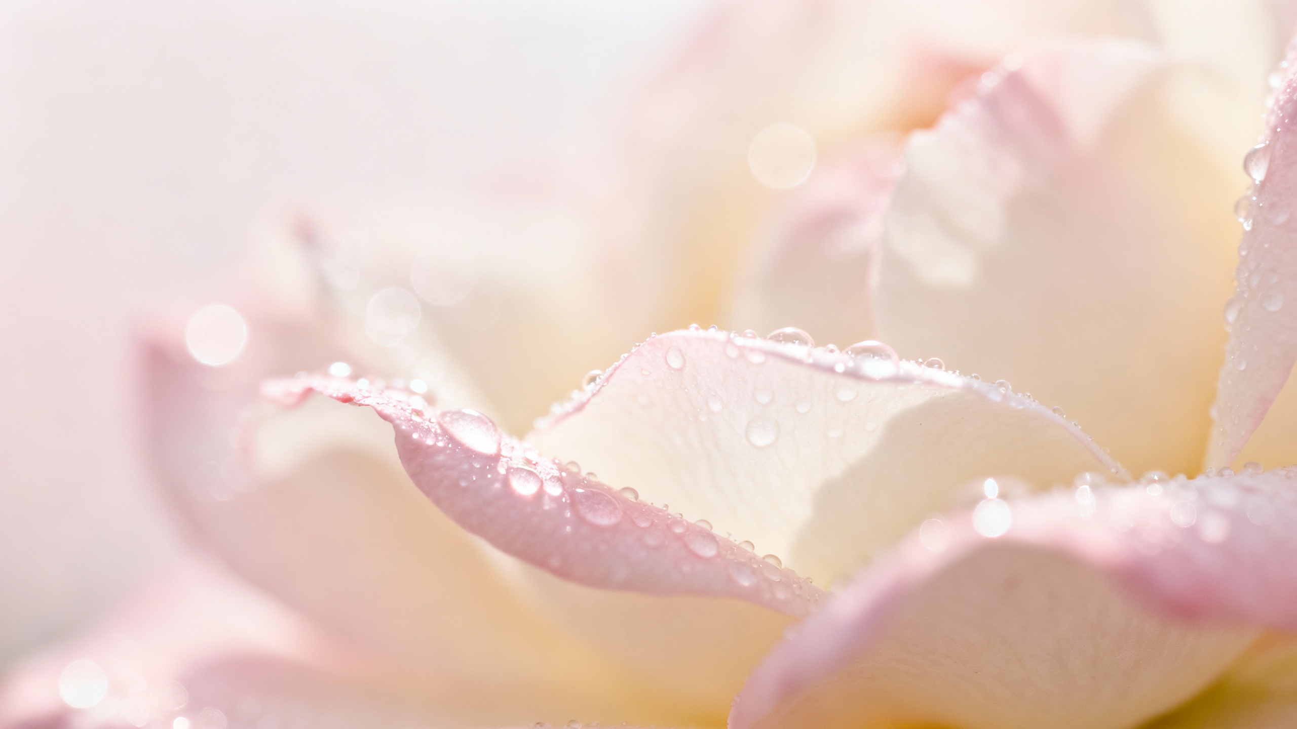 Featured image for Skin Condition- Super Sensitive Skin